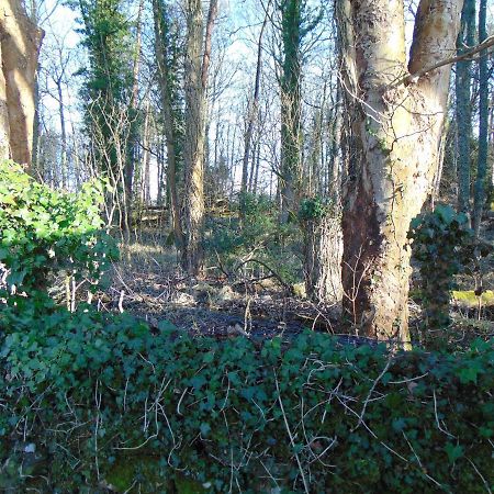 Dreamwood Cottage, Loch Lomond, Luxury Apartment. Glasgow Bagian luar foto