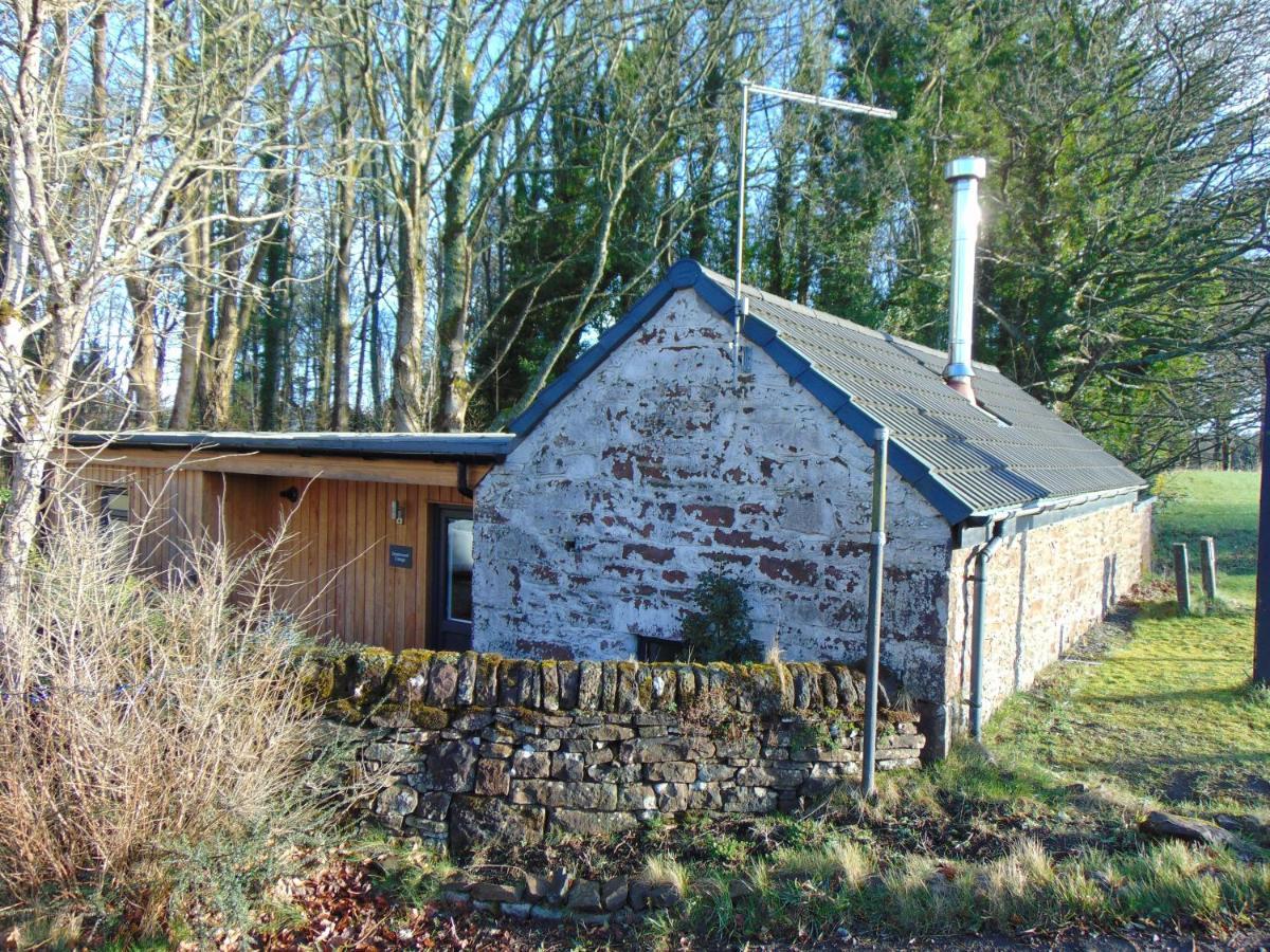 Dreamwood Cottage, Loch Lomond, Luxury Apartment. Glasgow Bagian luar foto