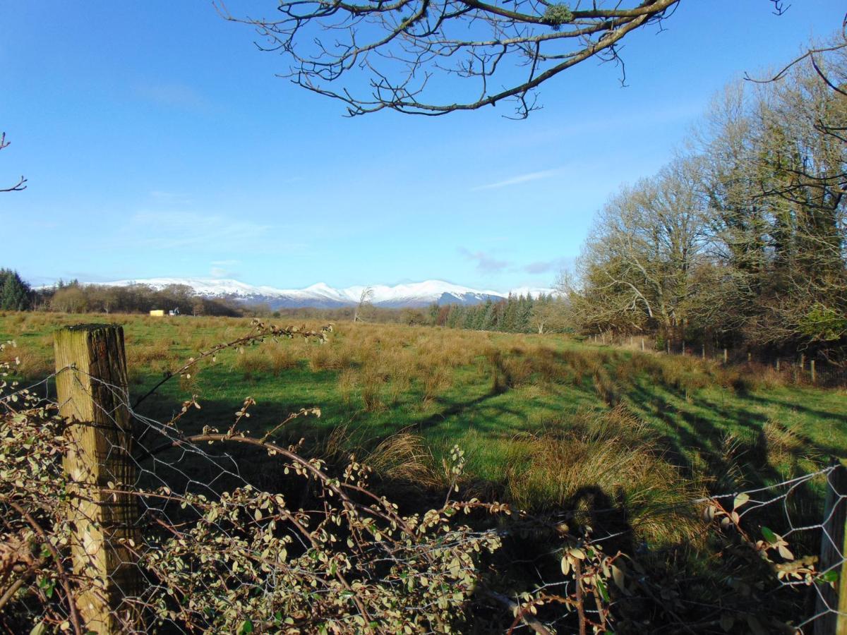 Dreamwood Cottage, Loch Lomond, Luxury Apartment. Glasgow Bagian luar foto