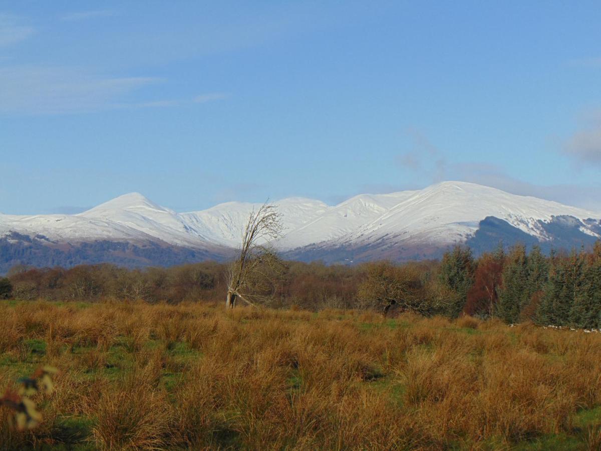 Dreamwood Cottage, Loch Lomond, Luxury Apartment. Glasgow Bagian luar foto
